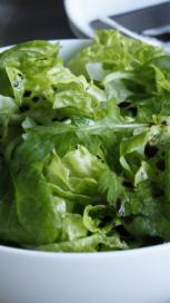 https://www.maggi.ro/sites/default/files/styles/search_result_153_272/public/article_images/SEM_How_to_keep_salad_greener_longer.JPG?itok=EFBRqAtw